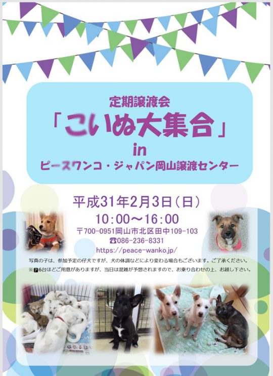 【譲渡会】2/3「定期譲渡会・こいぬ大集合」(岡山) 4 7ae73397e50ecab9b7733478b858c8a6 e1548820757337