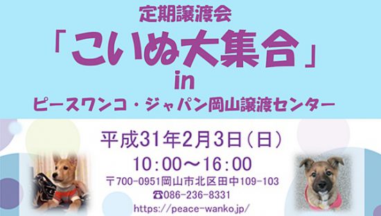 【譲渡会】2/3「定期譲渡会・こいぬ大集合」(岡山) 1 ac585136822b1f05c98bbab320cd7aac e1548819681792