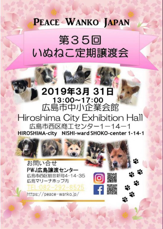 9818ec5601e3eca785324052c886a0ec e1553560041802