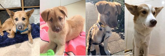 33c05a2fc95cf422834f953f48f8456d 1 e1553849570416