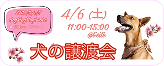 a4bb46c6f2ca18ee8645b901f11df7bd