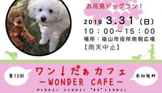 b05186e3e07bcd00f016bb55ab201767 e1553834388673