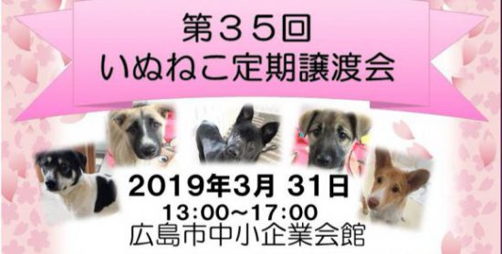 IMG 20190325 211819 e1553560090399