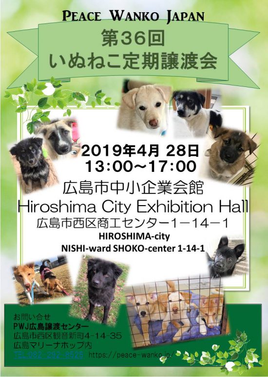 【譲渡会】4/28(日)「第36回いぬねこ定期譲渡会」開催(広島) 2 85fdec678722487614557e798dba5660 e1555048840814