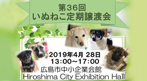 【譲渡会】4/28(日)「第36回いぬねこ定期譲渡会」開催(広島) 1 a47a7a5187cb84efe6e78b1b48566e6e 5 e1555048754249