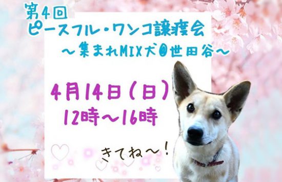 a47a7a5187cb84efe6e78b1b48566e6e 2 e1554713071304