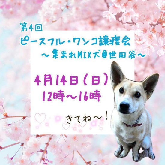 f832340315687525500edf5c6e16fb4d e1554713148281