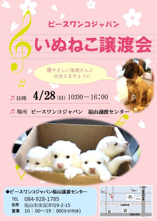 a0f7f8d8869b0aec32e215758de7173f 2 e1554710999629