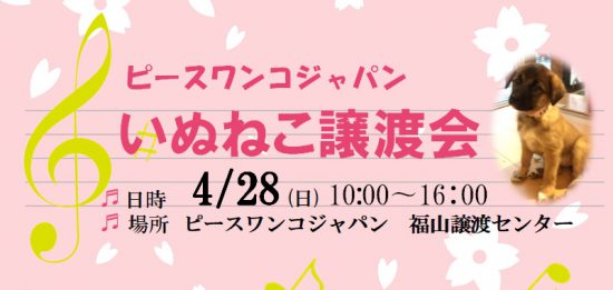 a47a7a5187cb84efe6e78b1b48566e6e 1 e1554710875375