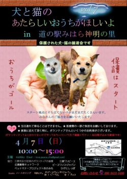【譲渡会】4/7(日)、「みはら神明の里」と「庄原さくらフェスティバル」に参加(広島) 2 image e1554282056845