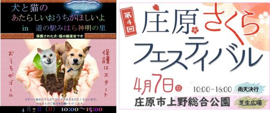 【譲渡会】4/7(日)、「みはら神明の里」と「庄原さくらフェスティバル」に参加(広島) 1 7778bf4539889222b6a890edd2ff2705 e1554280355716