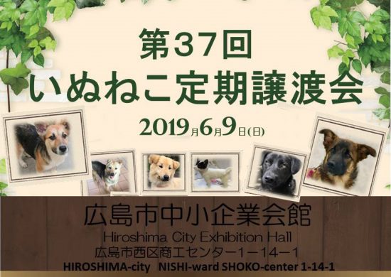 442582bceb6d35005740d4a93cb03ac2 1 e1560736322271