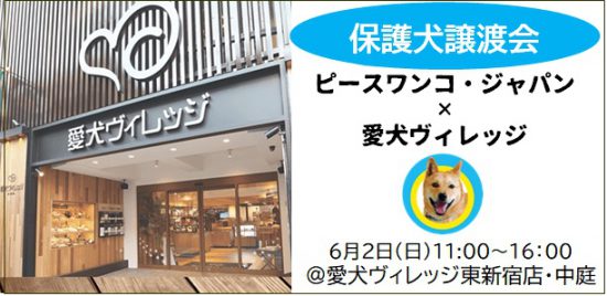 【譲渡会】6/2「ピースワンコ・ジャパン×愛犬ヴィレッジ」保護犬譲渡会開催(東京) 1 FB2 e1559208262330