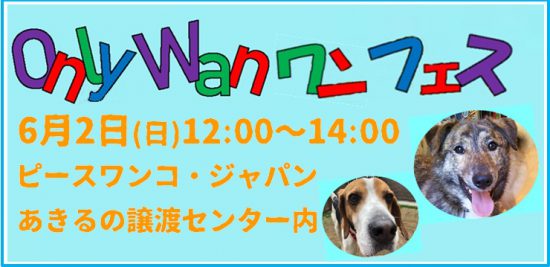 【譲渡会】6/2「Only Wan ワンフェス」開催(あきる野) 1 cats2 e1559198960102