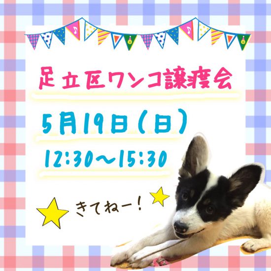 bd2b7e6e077789fcea0f8f896b14e733 e1557985120155