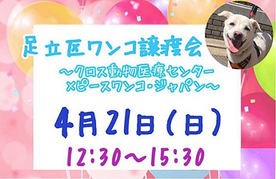 5503d1dc18391f7ddfb39d9f7e1cb64a