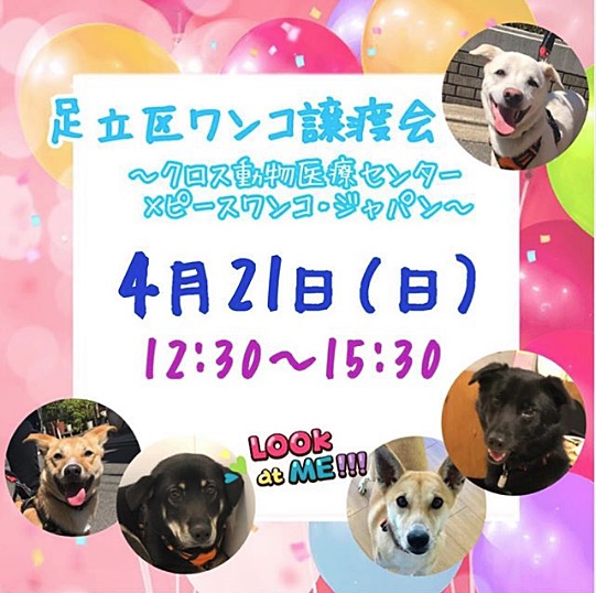 dac7fcf3ece88658355f91f5e00ae3ef