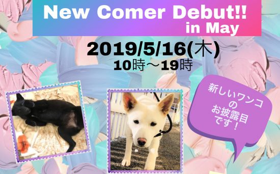 47254fc0bccce37a95a8c7a135c607f9 e1557825914596