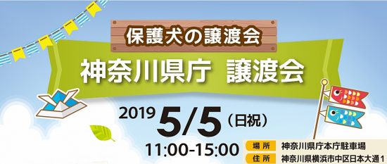 【譲渡会】5/5「神奈川県庁譲渡会」に参加(神奈川) 1 57801cdb79ad3467386355c91747bb3d e1556703499366