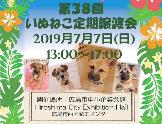 1e4f1990b3e5d92ab30dac61daa20aef 1 e1561715014992