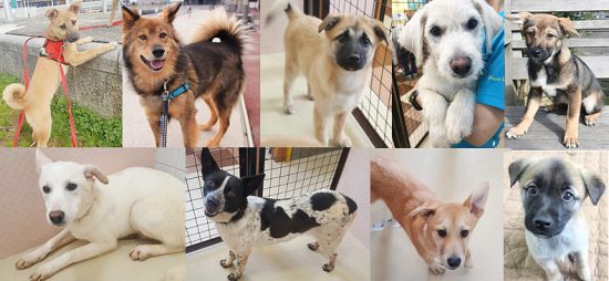 58c84b10d2890efb5e1f1008d12581d6 e1561444649125