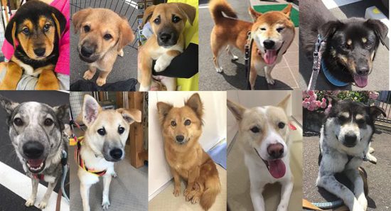 a1c68bf54886e5bee6dc6acdd330f231 e1561455261756