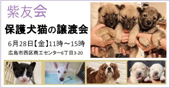 442582bceb6d35005740d4a93cb03ac2 e1561444548126