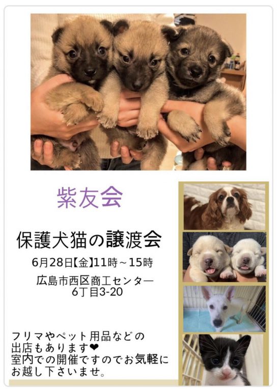 f65d357fb33bbc482e59379ce100464d e1561444603432