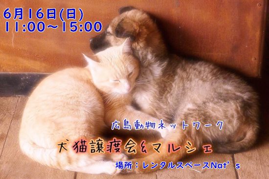 【譲渡会】6/16「犬猫譲渡会&マルシェ」に参加(広島) 1 73a37ba0aab42a5ec5b1e79046adc265 e1560509929280