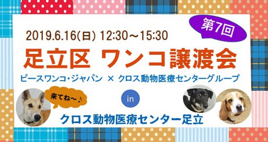 【譲渡会】6/16「第7回 足立区ワンコ譲渡会」開催(東京) 1 88c352dd920eb47b12150a9e5cb314dc 1 e1560242624585