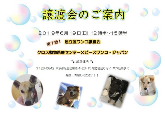 【譲渡会】6/16「第7回 足立区ワンコ譲渡会」開催(東京) 4 3b2a0e5ac4abb9c2d18f8708b9c211e3 e1560242428827