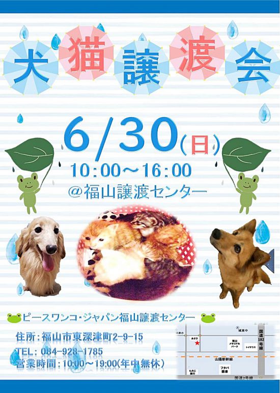 4e699f259adf85a0477215ecf0e5a06e e1559721047582