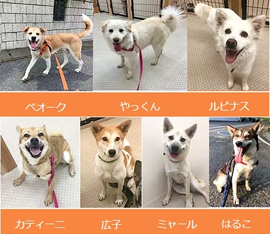 33c05a2fc95cf422834f953f48f8456d 3