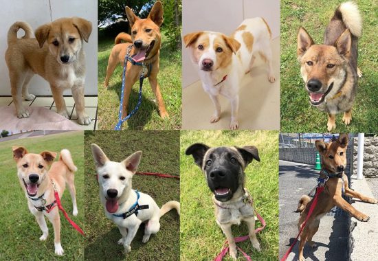 33c05a2fc95cf422834f953f48f8456d 2 e1563854965860