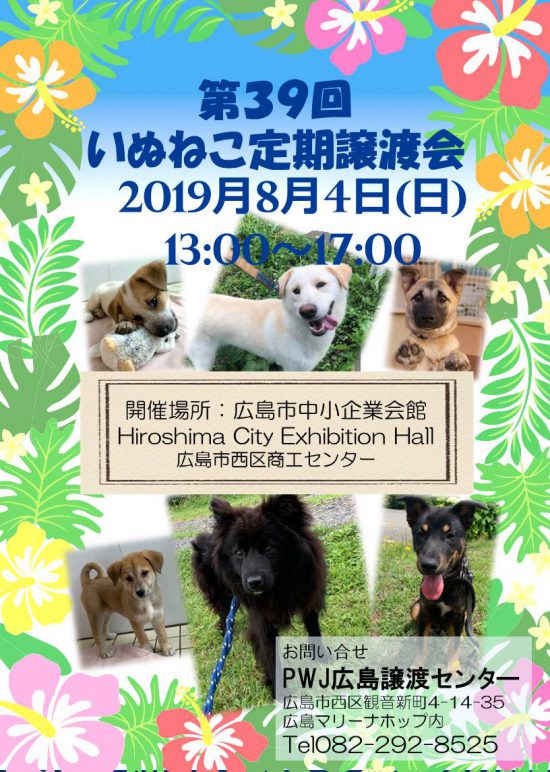 44fbff5c8ee6880486ad4b884dcd482d e1563854001303