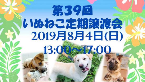 1e4f1990b3e5d92ab30dac61daa20aef e1563853681693