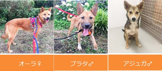 51361684b2e313508ae7fa70506e79fc e1563596207712