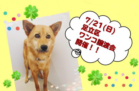 f196f136d9ef65b0fe514494600e8d21 e1563595764202