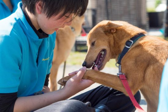 eae516fb69b37efb21473a535dcb9273 e1563008631122