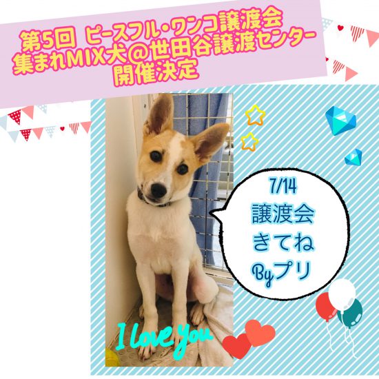 7ae73397e50ecab9b7733478b858c8a6 1 e1562943983553