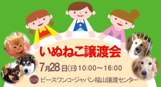 【譲渡会】7/28(日)「いぬねこ譲渡会」開催(福山) 1 442582bceb6d35005740d4a93cb03ac2 1 e1562817015532