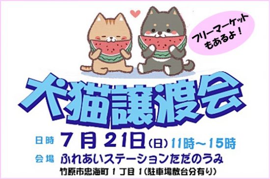 442582bceb6d35005740d4a93cb03ac2 e1561974478479