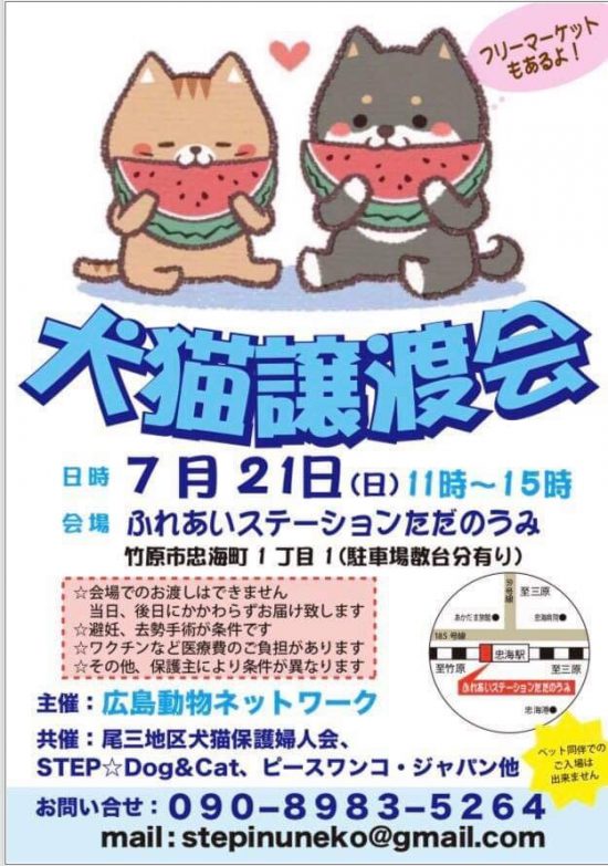 image1 e1561973897632