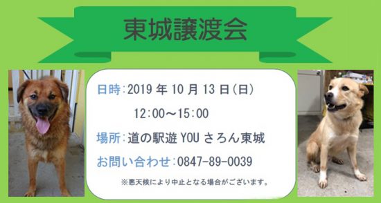 dd78cca7e9ef47204c8c600dbbfb69cf 3 e1570519311935