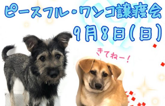 dd78cca7e9ef47204c8c600dbbfb69cf 2 e1567490350667