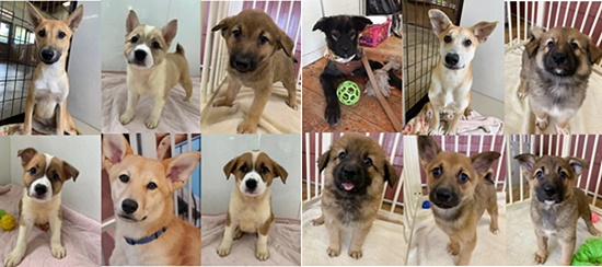 313fd8f285f06209effdb0bb595d3bd9