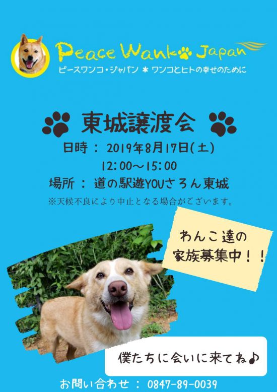 7ae73397e50ecab9b7733478b858c8a6 1 e1565775191367