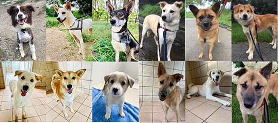 9651800ef96e6535b749ee9c90b211f6