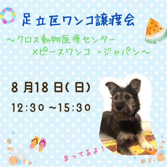 unnamed e1565676003805