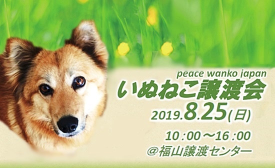 dd78cca7e9ef47204c8c600dbbfb69cf 1